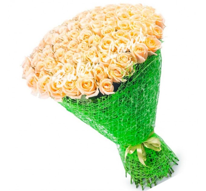 101 кремовая роза Vendella 60 см