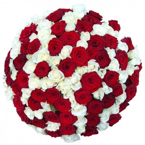 101 троянда мікс «червоно-біла» 60 см 101 троянда мікс «червоно-біла» 60 см