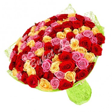 101 роза микс «красно-желто-розовая» 60 см