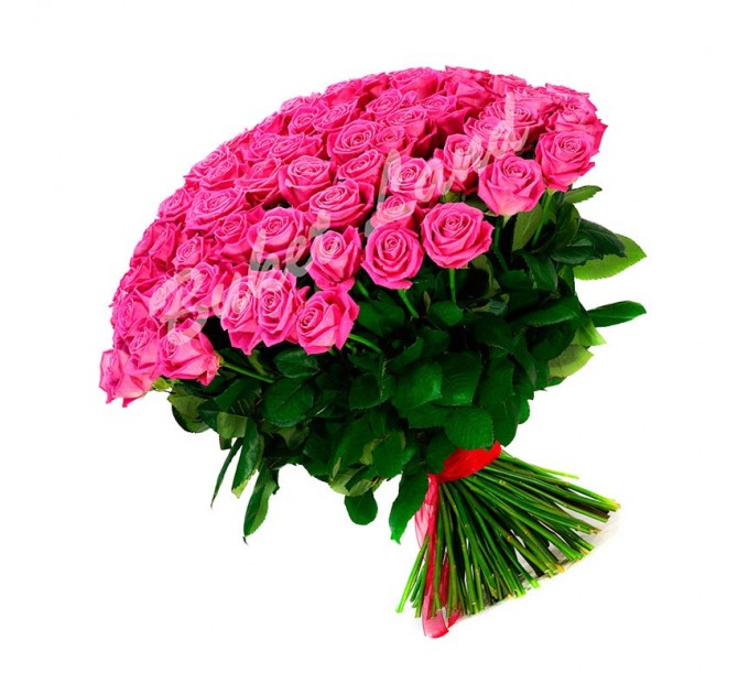 101 розовая роза Аква 60 см