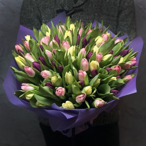 101 тюльпан мікс (3 кольори) 101 тюльпан мікс (3 кольори)