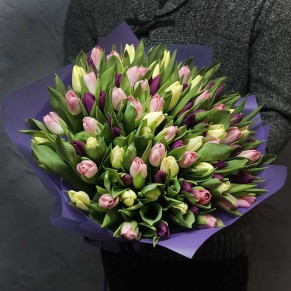 101 тюльпан мікс (3 кольори) 101 тюльпан мікс (3 кольори)