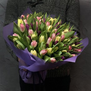 101 тюльпан мікс (3 кольори)