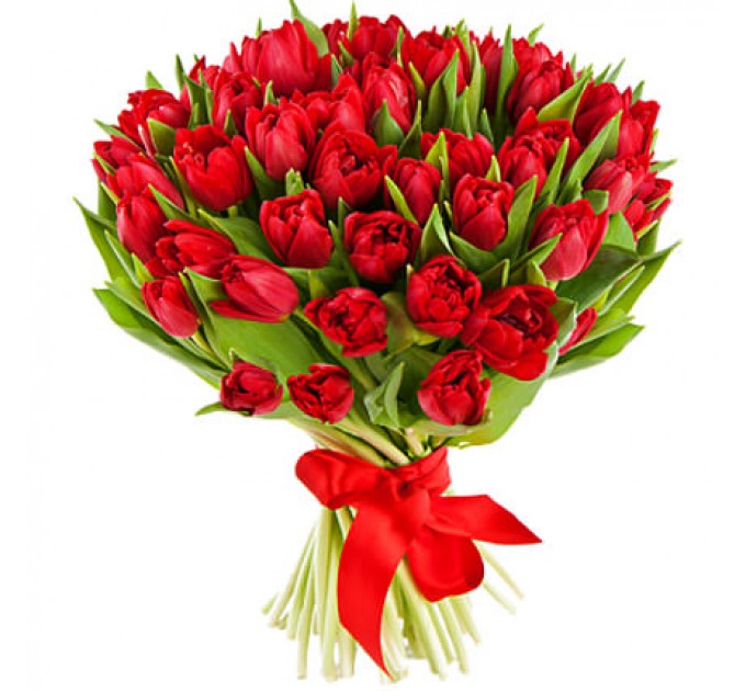 51 червоний тюльпан