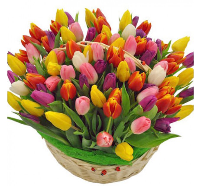Корзина "101 яркий тюльпан"
