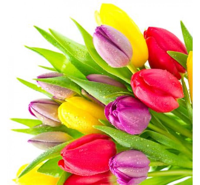 Корзина "101 яркий тюльпан"