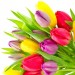 Корзина "101 яркий тюльпан"