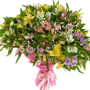 101 альстромерія