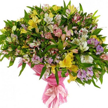 101 альстромерія