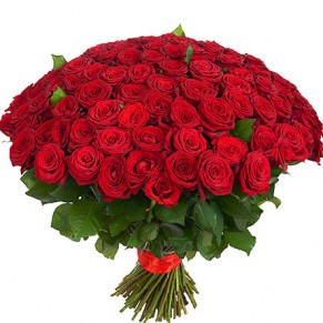 151 красная роза ГранПри 60 см