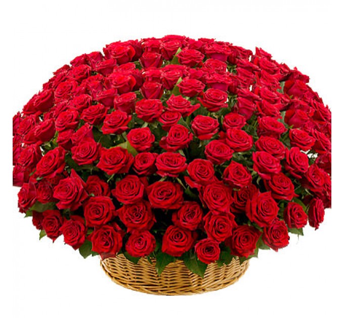 Композиція 301 червона троянда Гран При 60 см
