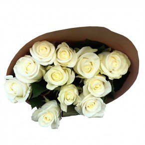 11 білих троянд 50 см Білуга 11 білих троянд 50 см Білуга