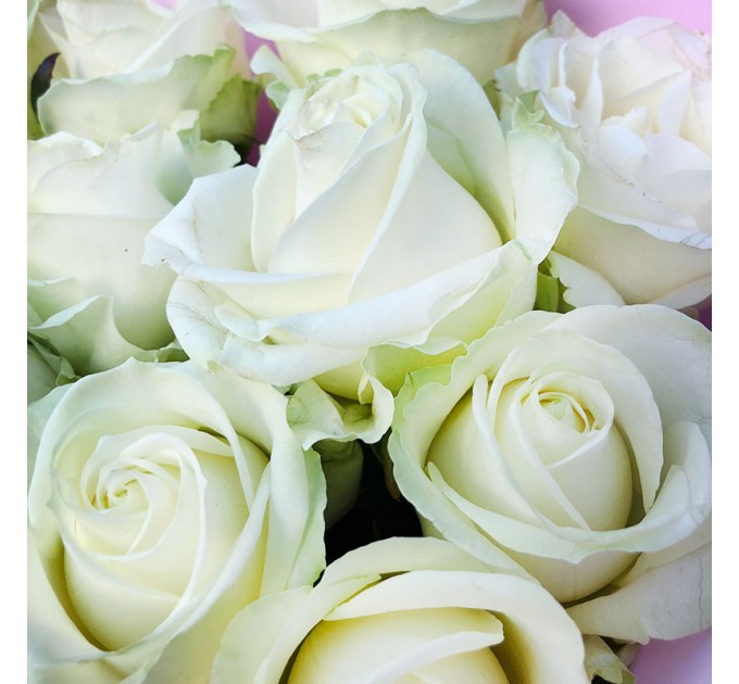 11 белых роз 60 см Аваланч