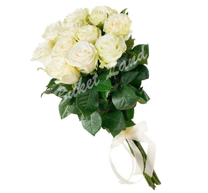 11 белых роз Аваланч 60 см