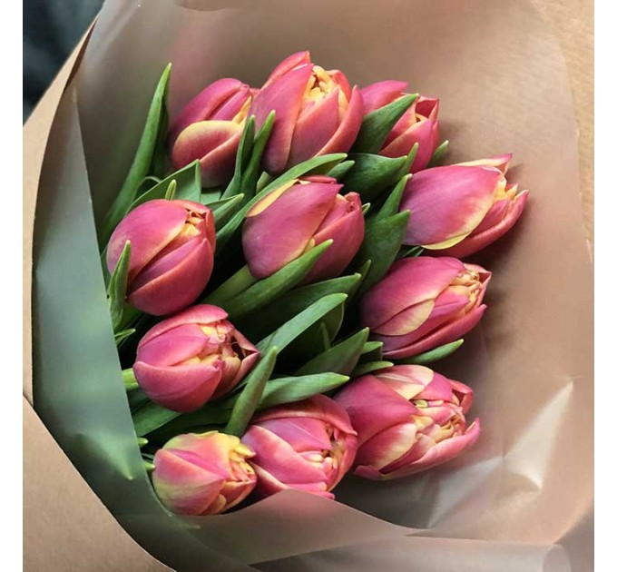 11 пионовидных тюльпанов в ассортименте