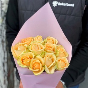 11 троянд Піч Аваланч 11 троянд Піч Аваланч