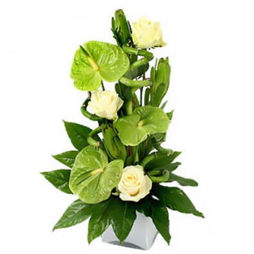 Композиция на ресепшн "GreenPeace"