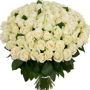 101 біла троянда Піч Аваланч 60 см 101 біла троянда Піч Аваланч 60 см