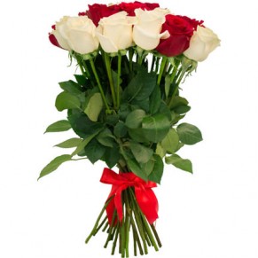 25 червоних та білих троянд Еквадор 90 - 100 см 25 червоних та білих троянд Еквадор 90 - 100 см