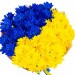 Букет "Украина навсегда!"
