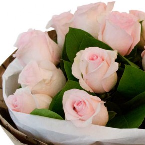 Букет рожевих троянд 50см Кімберлі 17 шт Букет рожевих троянд 50см Кімберлі 17 шт