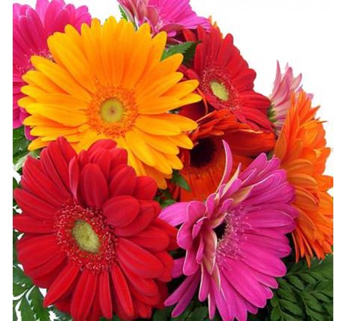 Букет "Радуга"