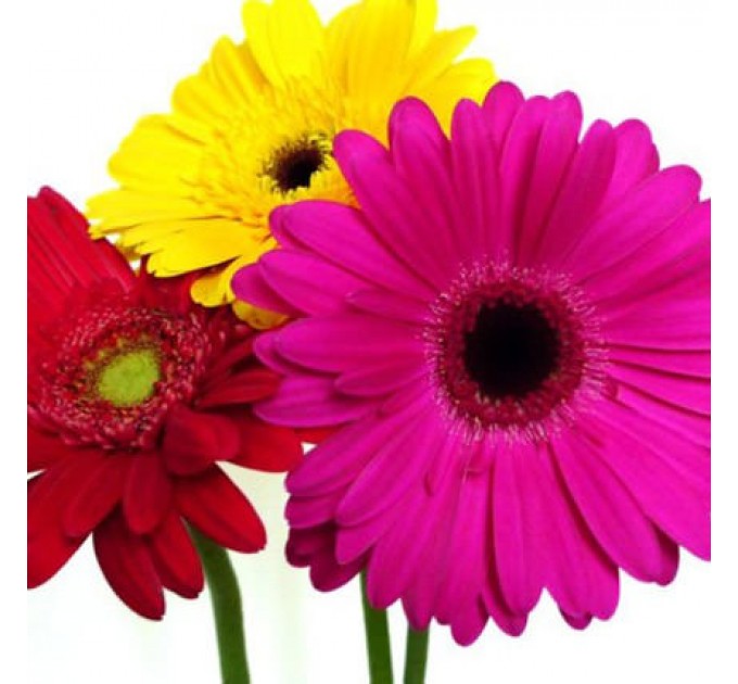 Букет "Радуга"