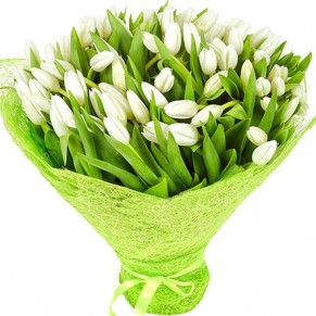 101 білий тюльпан