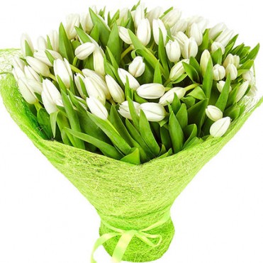 101 білий тюльпан