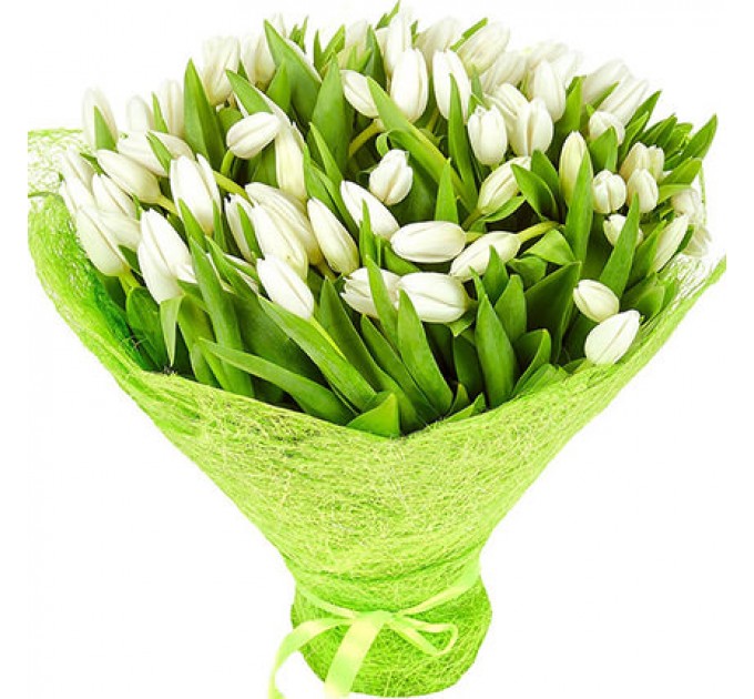 101 білий тюльпан