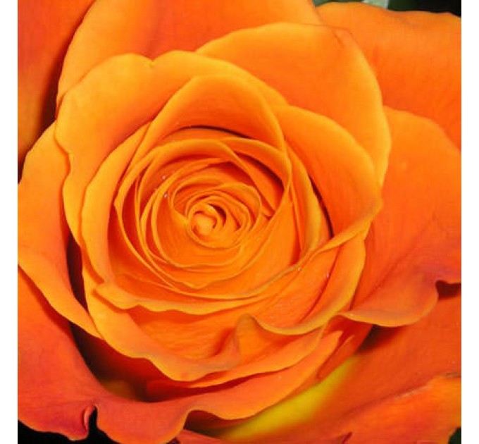 Букет "Тренд сезона!"