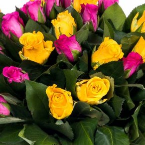 Букет "Dolce & Gabbana" 50 см 25 шт Букет "Dolce & Gabbana" 50 см 25 шт