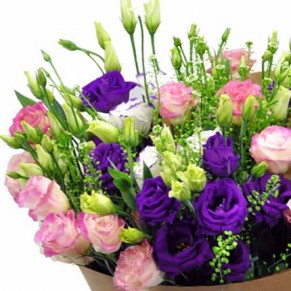 25 різнокольорових еустом 25 різнокольорових еустом