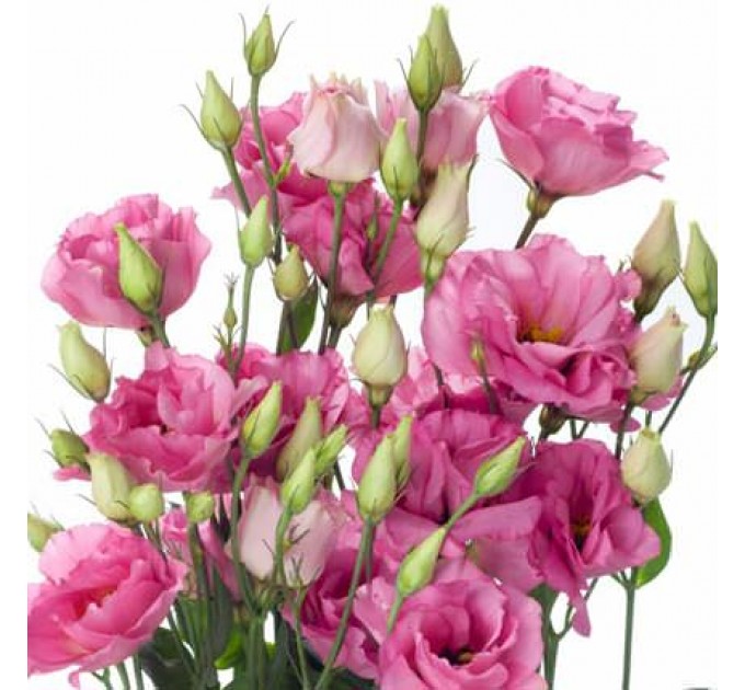 Романтический букет "Венеция"