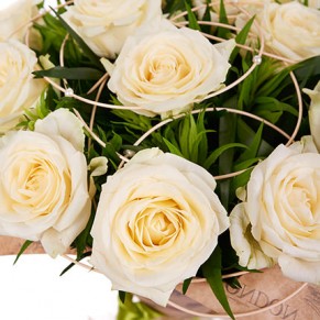 15 кремовых роз Пич Аваланч 60 см