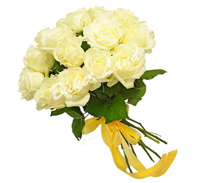 15 белых роз Аваланч 60 см