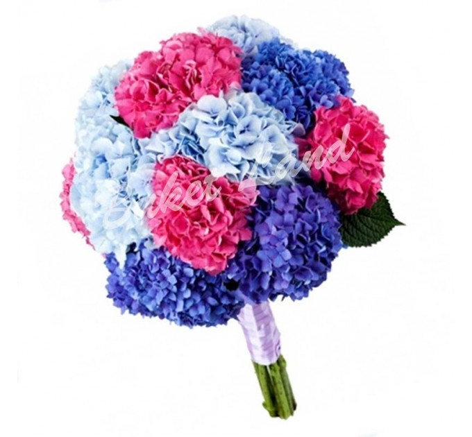 15 гортензий микс