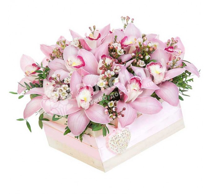 15 орхидей в коробке