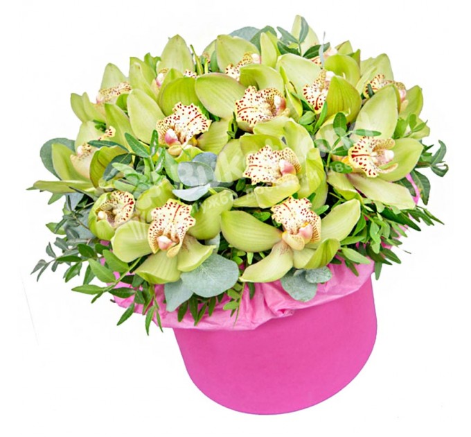 15 орхидей в шляпной коробке