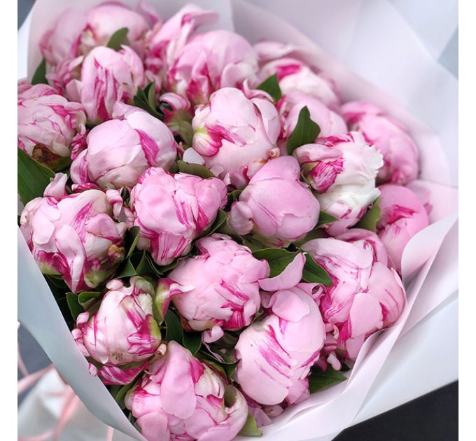 15 розовых пионов