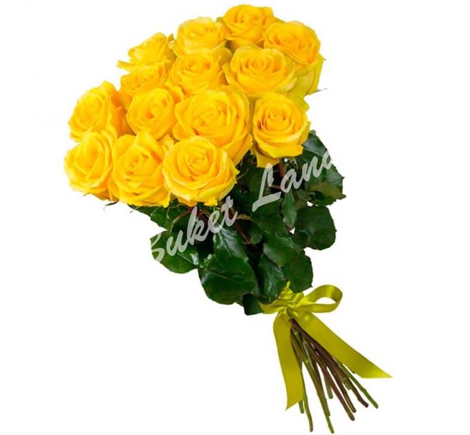 15 жовтих троянд Пенні Лейн 60 см