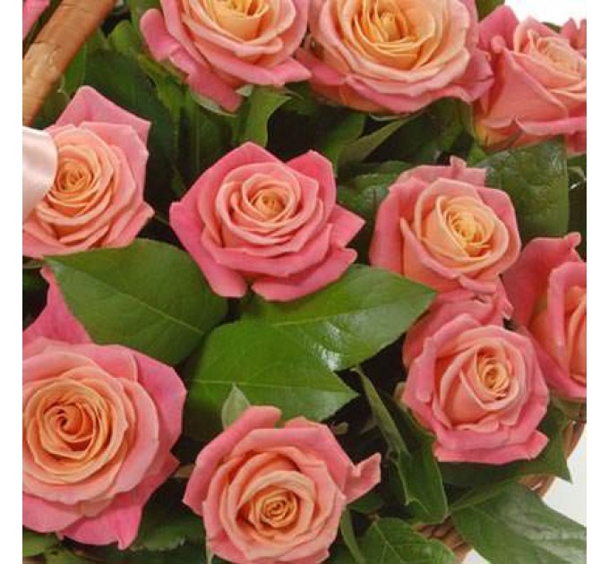 Корзина "25 розовых роз"