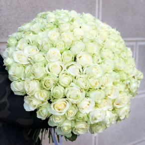 151 белая роза 60 см Аваланч