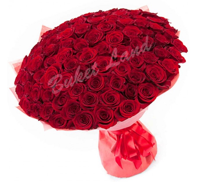 151 красная роза Гран При 60 см