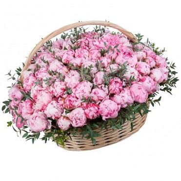 151 пион в корзине