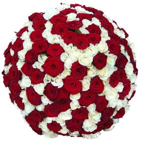 151 роза микс красно-белая 60 см