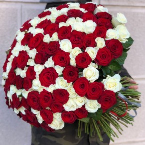 151 роза микс красно-белая 60 см