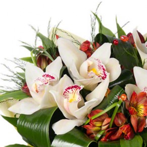 Букет "Жіночий секрет"