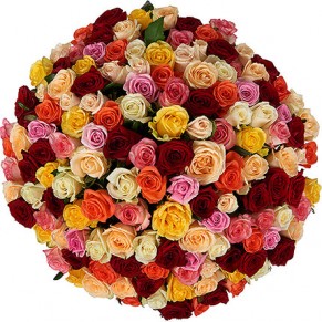 151 різнокольорова троянда Мікс 60 см 151 різнокольорова троянда Мікс 60 см