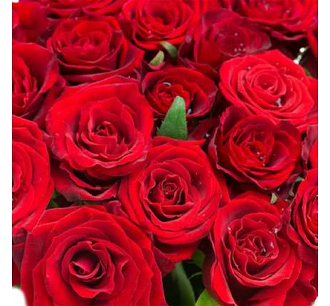 Букет в кашпо "21 алая роза"